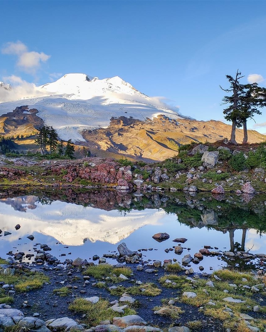 Snowy mountain in front of a lake and colorful plants.