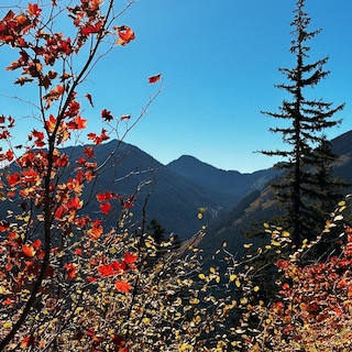 Mountain hills with red tree leaves in the foreground